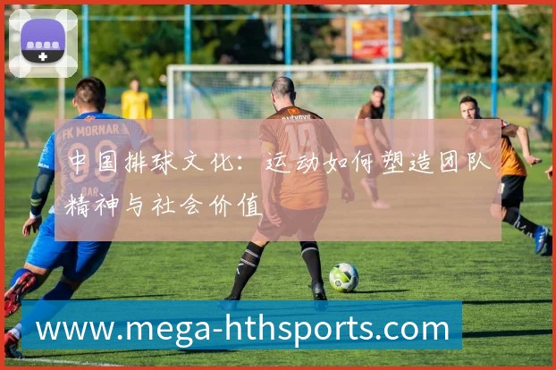中国排球文化:运动如何塑造团队精神与社会价值