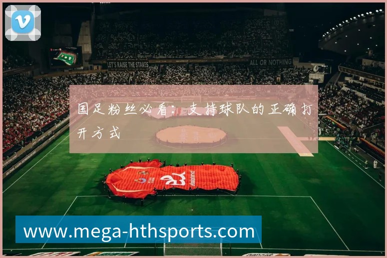 国足粉丝必看:支持球队的正确打开方式